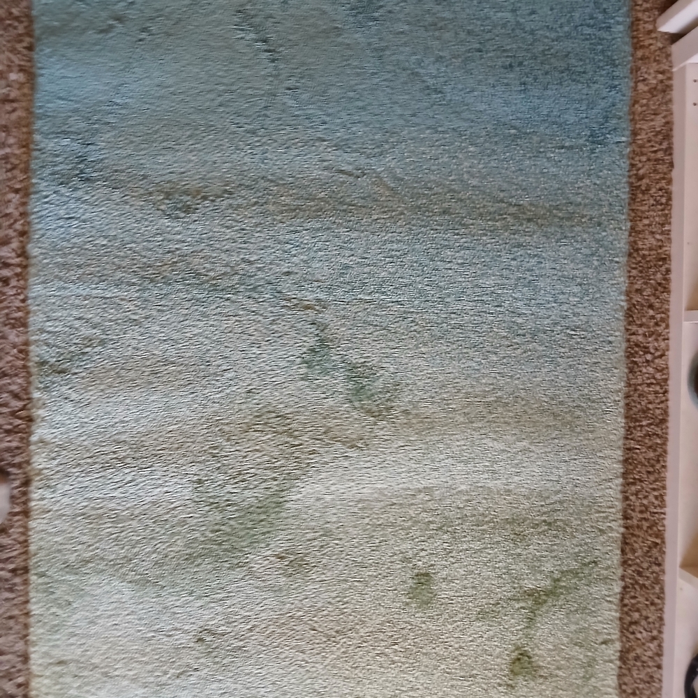 NEW IKEA HOTELLRUM Beautiful 6'7 x 2'7 Area Rug only opened for pictures. The - Picture 13 of 16